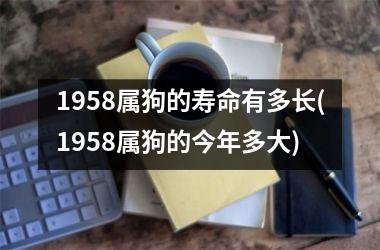 <h3>1958属狗的寿命有多长(1958属狗的今年多大)