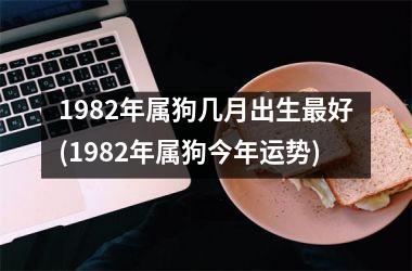 1982年属狗几月出生好(1982年属狗今年运势)