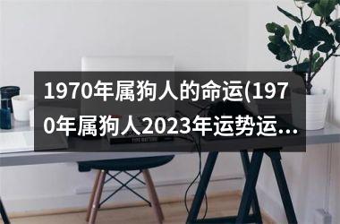 1970年属狗人的命运(1970年属狗人2025年运势运程每月运程)