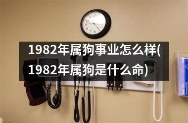 1982年属狗事业怎么样(1982年属狗是什么命)