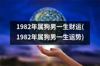 1982年属狗男一生财运(1982年属狗男一生运势)