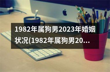1982年属狗男2023年婚姻状况(1982年属狗男2023年运势及运程)