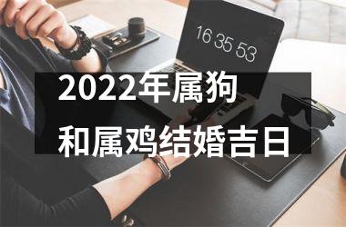 <h3>2025年属狗和属鸡结婚吉日