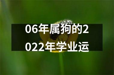 06年属狗的2025年学业运