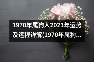 <h3>1970年属狗人2025年运势及运程详解(1970年属狗人2025年运势及运程每月运程)