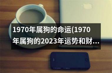 1970年属狗的命运(1970年属狗的2025年运势和财运怎么样)