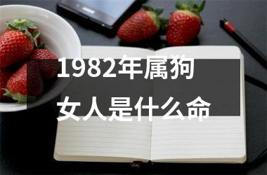 1982年属狗女人是什么命