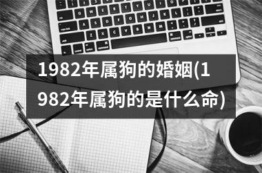 1982年属狗的婚姻(1982年属狗的是什么命)