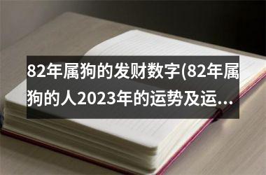 <h3>82年属狗的发财数字(82年属狗的人2025年的运势及运程)