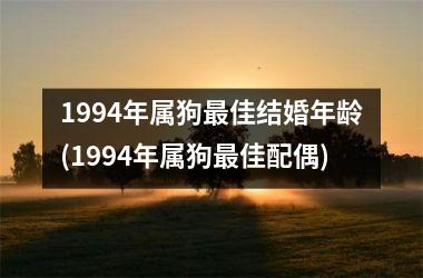 1994年属狗佳结婚年龄(1994年属狗佳配偶)