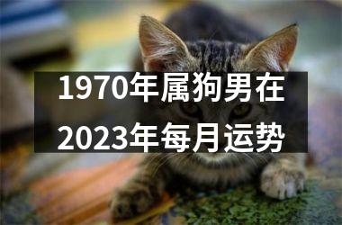 <h3>1970年属狗男在2025年每月运势