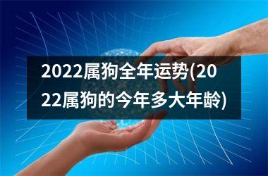 2025属狗全年运势(2025属狗的今年多大年龄)