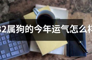 82属狗的今年运气怎么样