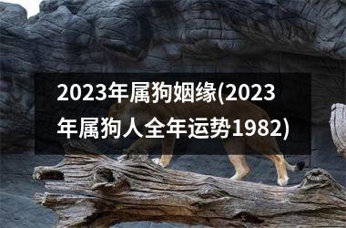 2025年属狗姻缘(2025年属狗人全年运势1982)