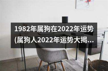 <h3>1982年属狗在2025年运势(属狗人2025年运势大揭秘！)