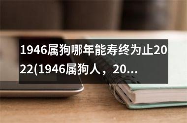 <h3>1946属狗哪年能寿终为止2025(1946属狗人，2025起时光漫步)