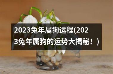 2025兔年属狗运程(2025兔年属狗的运势大揭秘！)