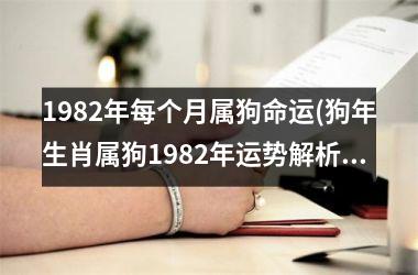 1982年每个月属狗命运(狗年生肖属狗1982年运势解析)