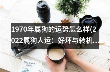 1970年属狗的运势怎么样(2025属狗人运：好坏与转机)