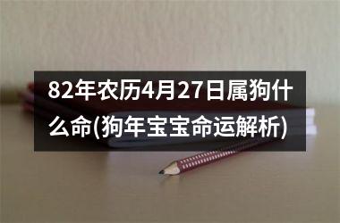 82年农历4月27日属狗什么命(狗年宝宝命运解析)