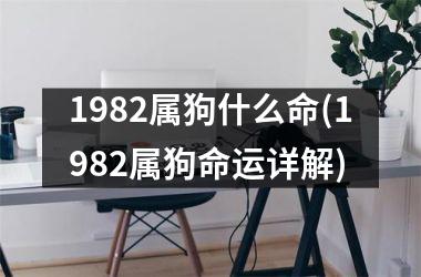 <h3>1982属狗什么命(1982属狗命运详解)