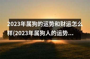 2025年属狗的运势和财运怎么样(2025年属狗人的运势和财运展望)