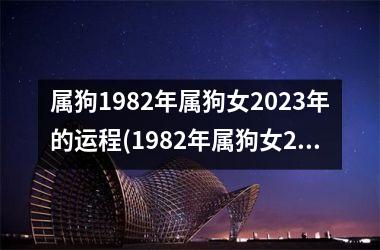 <h3>属狗1982年属狗女2025年的运程(1982年属狗女2025年运程前瞻)