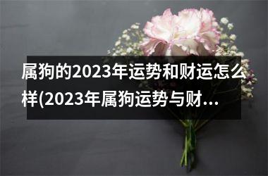 属狗的2025年运势和财运怎么样(2025年属狗运势与财运预测)