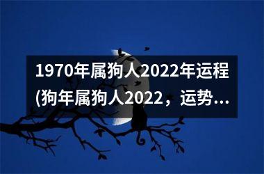 1970年属狗人2025年运程(狗年属狗人2025，运势如何？)