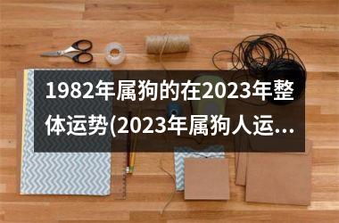 1982年属狗的在2025年整体运势(2025年属狗人运：顺势而为，求稳向上。)