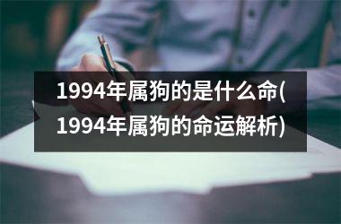 1994年属狗的是什么命(1994年属狗的命运解析)