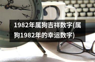 1982年属狗吉祥数字(属狗1982年的幸运数字)