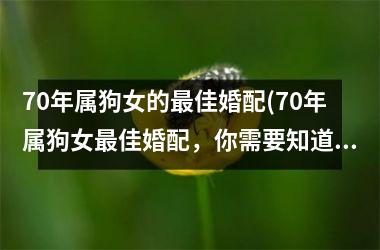 <h3>70年属狗女的佳婚配(70年属狗女佳婚配，你需要知道的优质对象！)