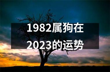 1982属狗在2025的运势