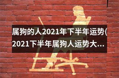 属狗的人2025年下半年运势(2025下半年属狗人运势大盘点)