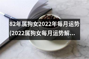 <h3>82年属狗女2025年每月运势(2025属狗女每月运势解析)