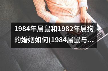 1984年属鼠和1982年属狗的婚姻如何(1984属鼠与1982属狗的婚姻契合吗？)