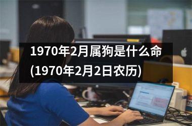 1970年2月属狗是什么命(1970年2月2日农历)