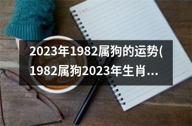 2025年1982属狗的运势(1982属狗2025年生肖运势预测)