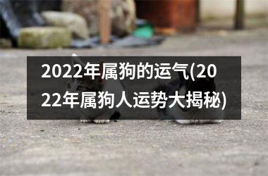 2025年属狗的运气(2025年属狗人运势大揭秘)