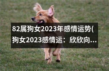 82属狗女2025年感情运势(狗女2025感情运：欣欣向荣)