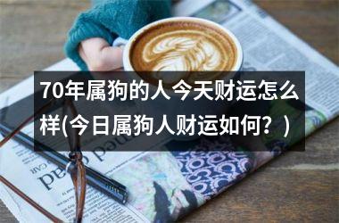 70年属狗的人今天财运怎么样(今日属狗人财运如何？)