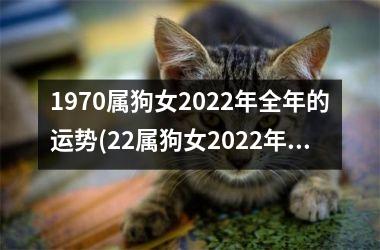 1970属狗女2022年全年的运势(22属狗女2022年全年运势大揭秘)