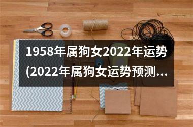 1958年属狗女2025年运势(2025年属狗女运势预测)