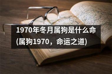 1970年冬月属狗是什么命(属狗1970，命运之道)