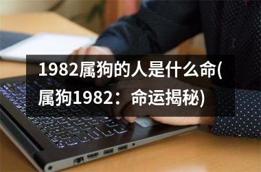 1982属狗的人是什么命(属狗1982：命运揭秘)