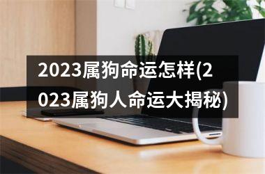 2025属狗命运怎样(2025属狗人命运大揭秘)