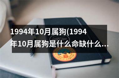 1994年10月属狗(1994年10月属狗是什么命缺什么)