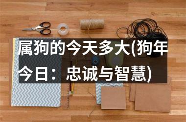 属狗的今天多大(狗年今日：忠诚与智慧)