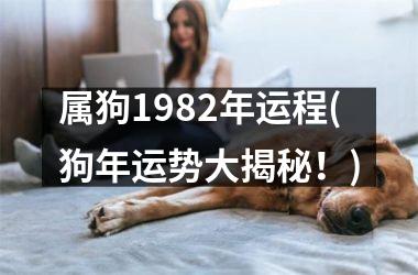 <h3>属狗1982年运程(狗年运势大揭秘！)